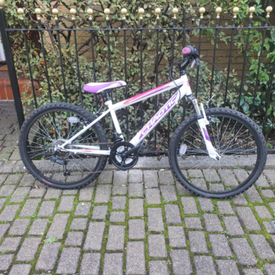 alu trekking star bike